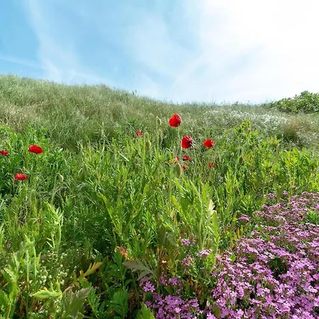 Callantsduyne 21 With Groote Keeten Dune View شقة كالانتسوج