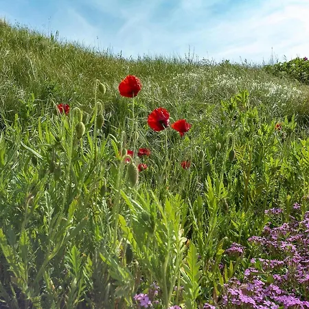Callantsduyne 21 With Groote Keeten Dune View Callantsoog
